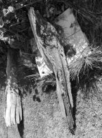 Ulrike_Dillig_04_Eingeschlossen_rechts_25920