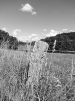 Ulrike_Dillig_04_Eingeschlossen_rechts_25920