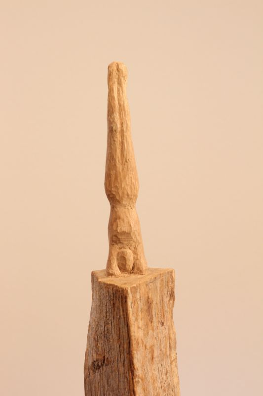 UD6_Von_20unten_2C_20Eiche_2C_20147_20cm0